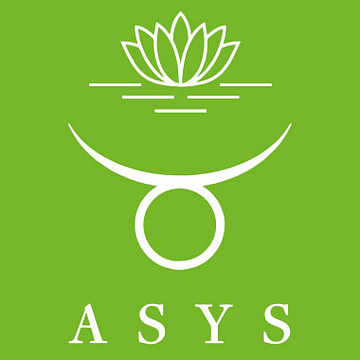 Asys Micro