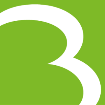 Bricon