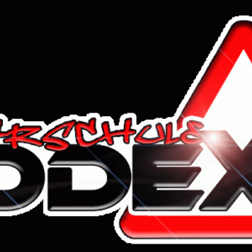 Fahrschule Kodex UG (haftungsbeschränkt)