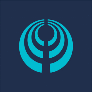 company-logo