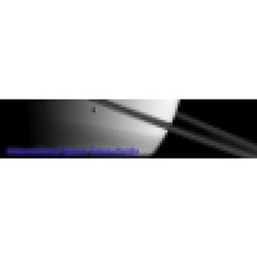 International Space Science Institute (ISSI)