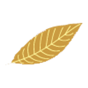 getkapp Handels GmbH