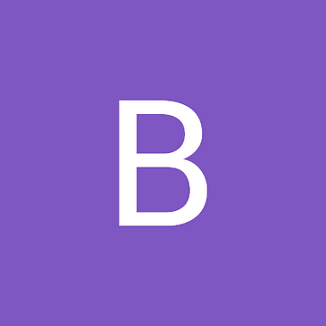 bbv Software Services Corp