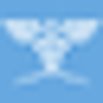 Privatpraxis Dr Schmidt (mein-bluttuning.de)