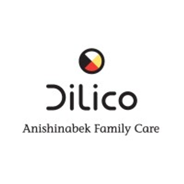 DiLiCo engineering GmbH