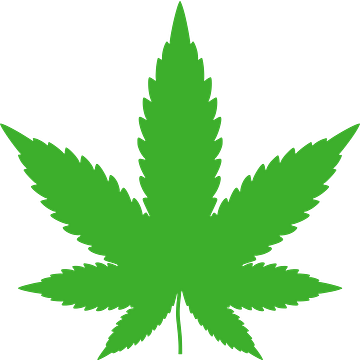 HempAge AG