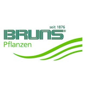 Bruns Elektronik