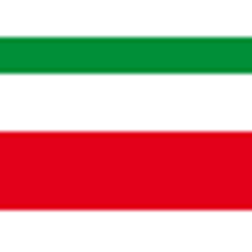 Renova Real Estate GmbH