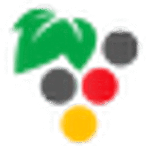 company-logo