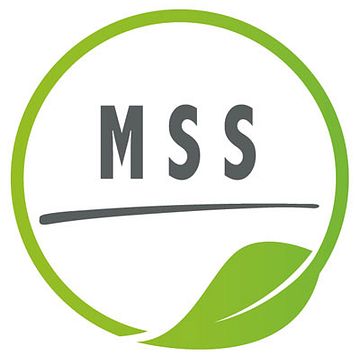 Michel-Service-Solution Pascal Michel