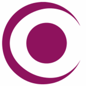 company-logo