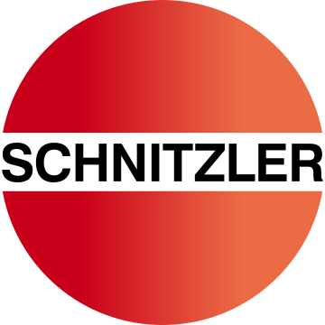 Schnitzler Concept