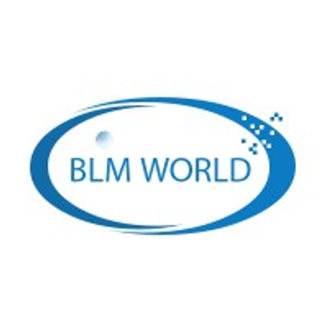BLM Group World Wide