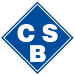 company-logo