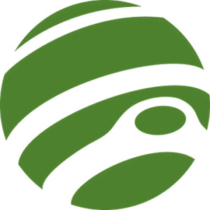 company-logo