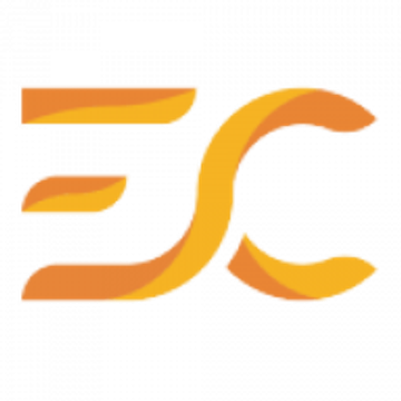 ELFIN Consulting