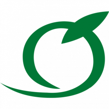 Frikoni