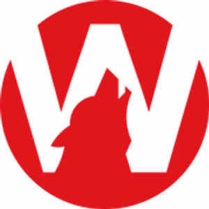 company-logo