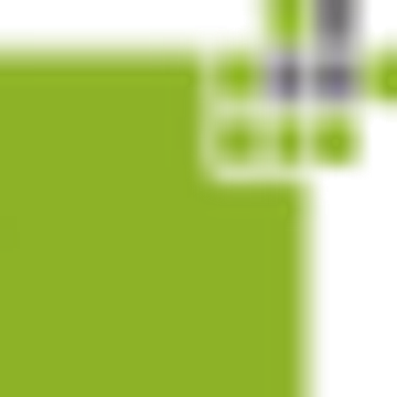 skalli networks GmbH
