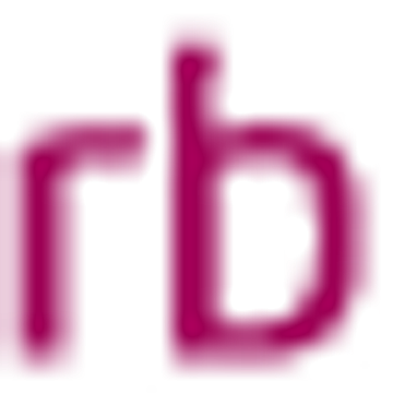 RB Consulting Inc