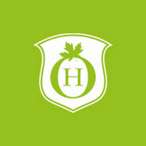 company-logo