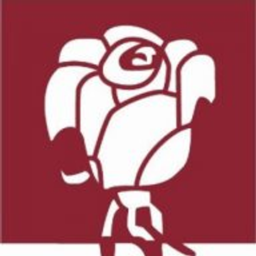 Rose Immobilien KG