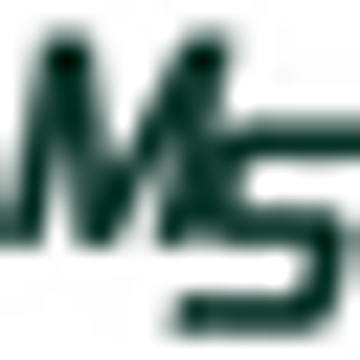 MS-Sicherheitsdienst Magdeburg