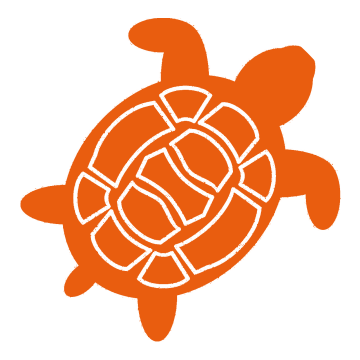 LANGSAMREISEN