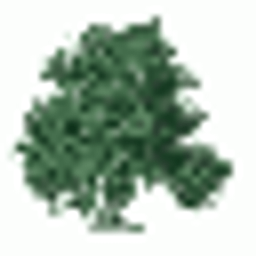 Der Baum Braun & Co. KG