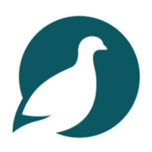 company-logo