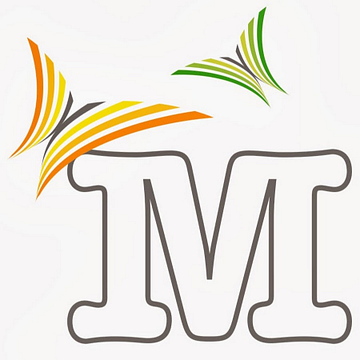 MSM Walsrode & Co. KG