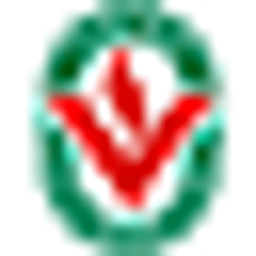 Voso Pirna