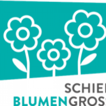 Schiersteinerbgh