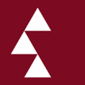 company-logo