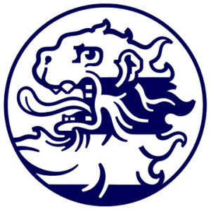 company-logo