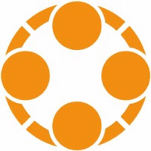 company-logo