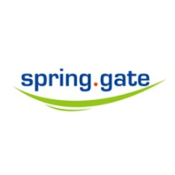 spring.gate business consulting UG