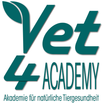 Vet4Academy