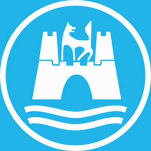 company-logo