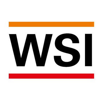 WSI Security