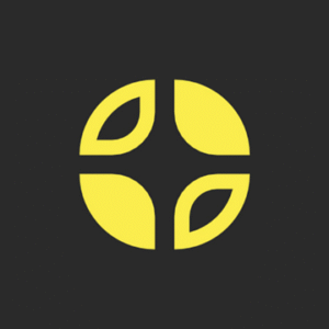 company-logo