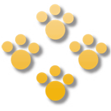amber Tech
