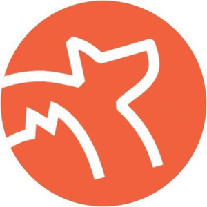company-logo