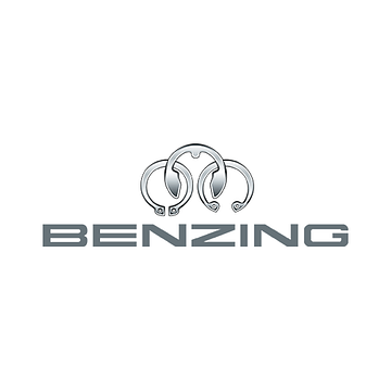 Hugo Benzing GmbH & Co. KG