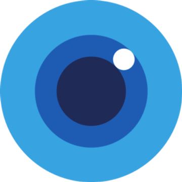 VISION Consulting