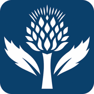 company-logo