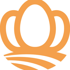 company-logo