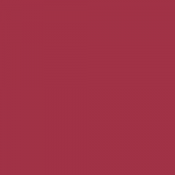Remmlinger + Partner Treuhand PartGmbB