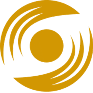 company-logo