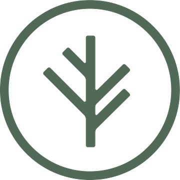 Branch
